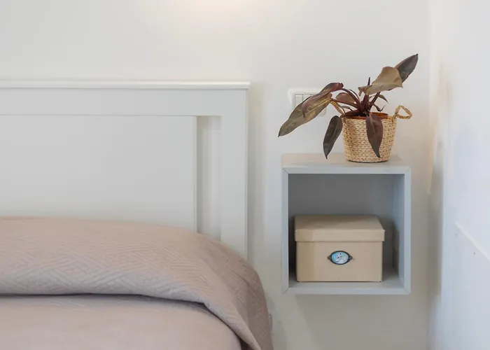 Tre Api By Elbasummer 아파트 프로키오